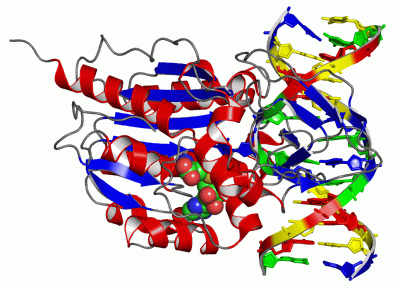 Image Asym./Biol. Unit - manually