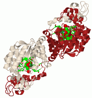 Image Biol.Unit 1 - manually