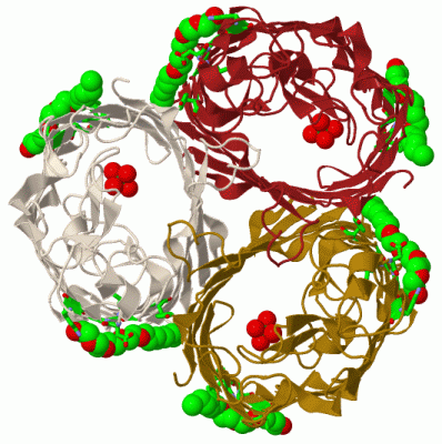 Image Biol.Unit 1 - manually