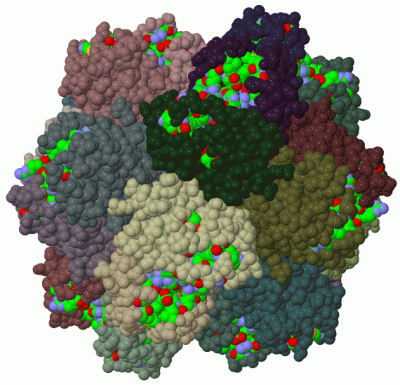 Image Biol.Unit 1 - manually