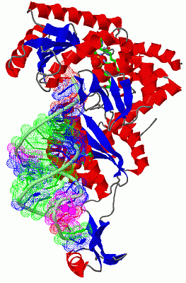 Image Asym./Biol. Unit - manually