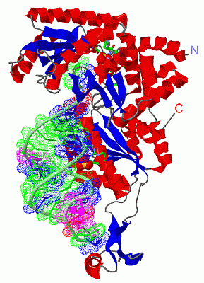 Image Asym./Biol. Unit - manually