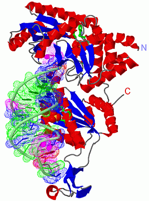 Image Asym./Biol. Unit - manually