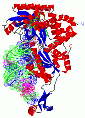 Image Asym./Biol. Unit - manually