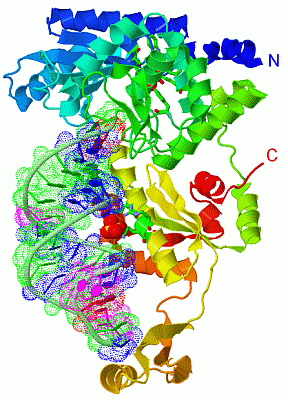 Image Asym./Biol. Unit - manually