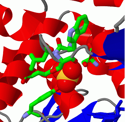 Image Asym./Biol. Unit - manually