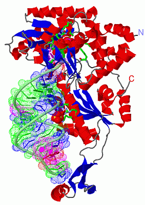 Image Asym./Biol. Unit - manually