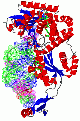 Image Asym./Biol. Unit - manually