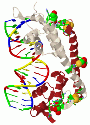 Image Biol.Unit 1 - manually