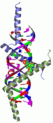 Image Biol.Unit 1 - manually