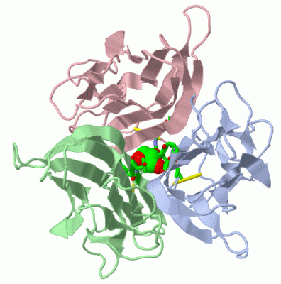 Image Asym./Biol. Unit - manually