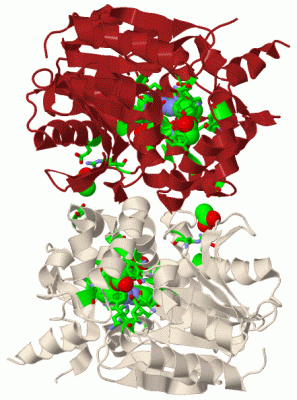 Image Biol.Unit 1 - manually