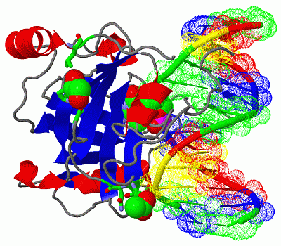 Image Biol.Unit 1 - manually