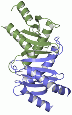 Image Asym./Biol. Unit - manually