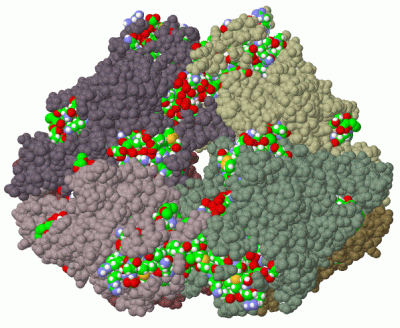 Image Biol.Unit 1 - manually