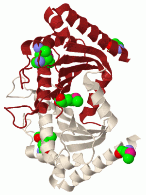 Image Biol.Unit 1 - manually