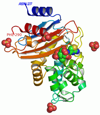 Image Asym./Biol. Unit - manually