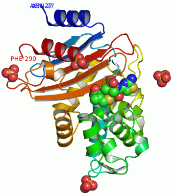 Image Asym./Biol. Unit - manually