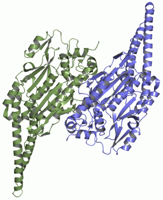 Image Asym./Biol. Unit - manually