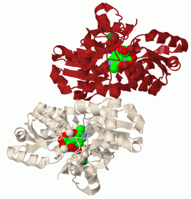 Image Biol.Unit 1 - manually