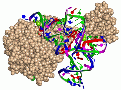 Image Asym./Biol. Unit - manually