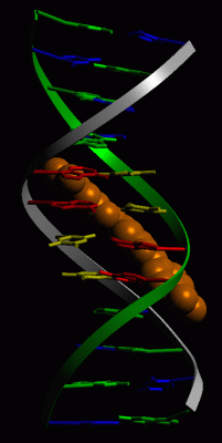 Image Asym./Biol. Unit - manually