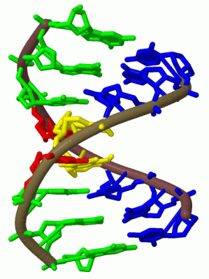 Image Biol.Unit 1 - manually