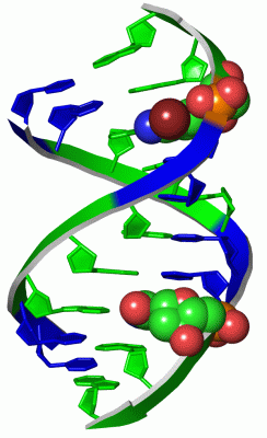 Image Asym./Biol. Unit - manually