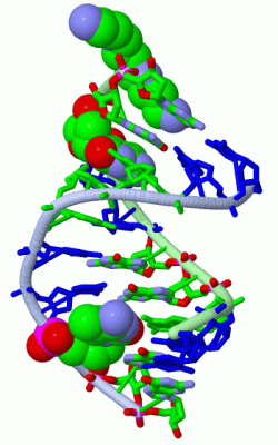 Image Asym./Biol. Unit - manually