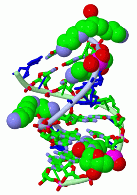 Image Asym./Biol. Unit - manually