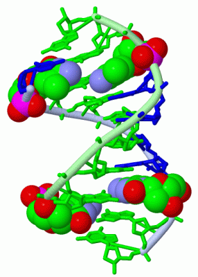 Image Asym./Biol. Unit - manually