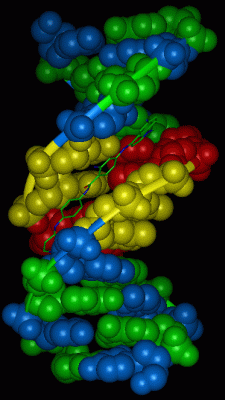 Image Asym./Biol. Unit - manually