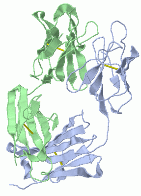 Image Asym./Biol. Unit - manually