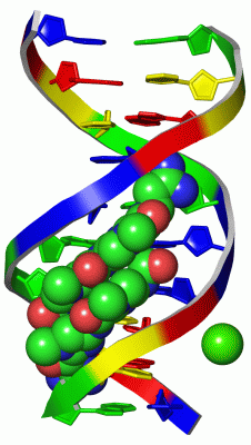 Image Asym./Biol. Unit - manually