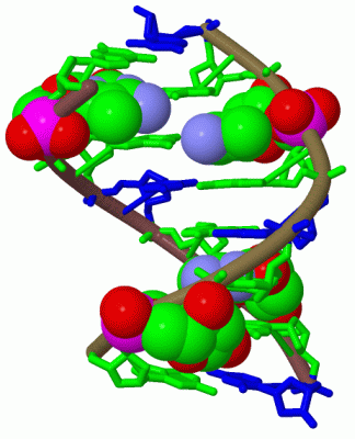 Image Biol.Unit 1 - manually