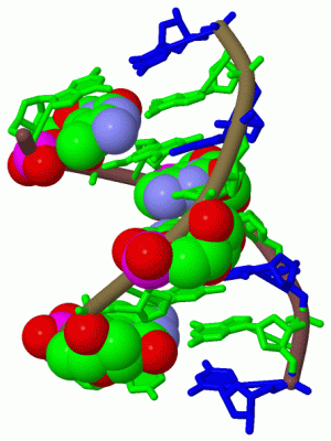 Image Biol.Unit 1 - manually