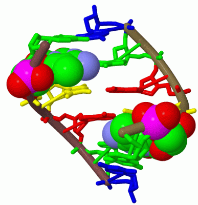 Image Biol.Unit 1 - manually