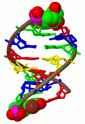 Image Biol.Unit 1 - manually