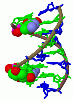 Image Biol.Unit 1 - manually