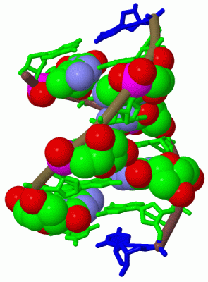 Image Biol.Unit 1 - manually