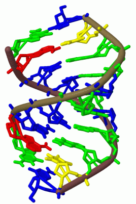 Image Biol.Unit 1 - manually