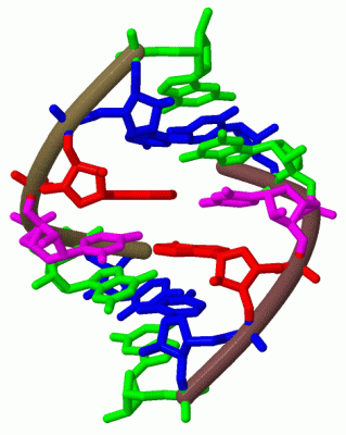 Image Biol.Unit 1 - manually