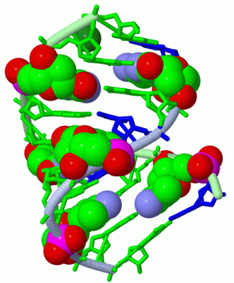 Image Asym./Biol. Unit - manually