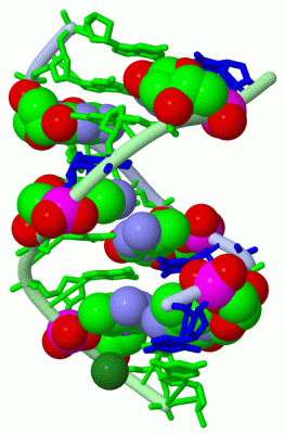 Image Asym./Biol. Unit - manually