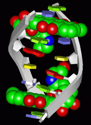 Image Biol.Unit 1 - manually