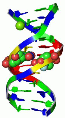 Image Asym./Biol. Unit - manually