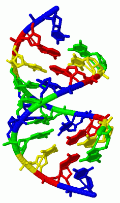 Image Biol.Unit 1 - manually