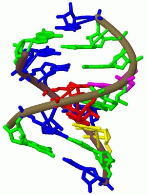 Image Biol.Unit 1 - manually