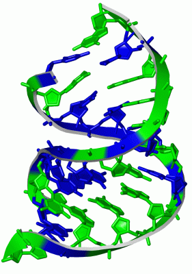 Image Asym./Biol. Unit - manually