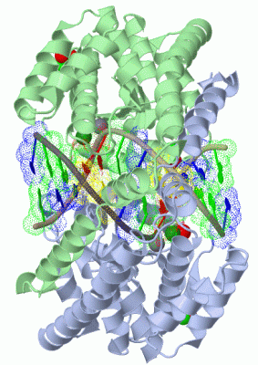 Image Biol.Unit 1 - manually